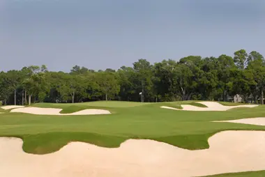 A wide fairway ringed by pale sand bunkers with a dense tree line behind it