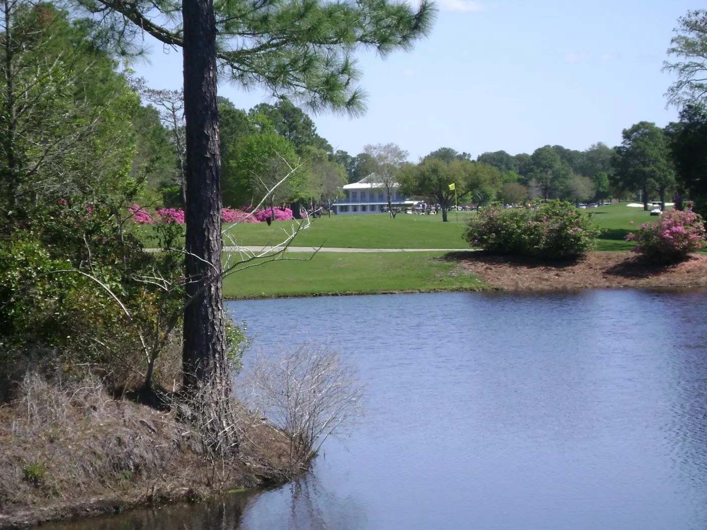 Lake with a flagged green and a low building on the far side, framed by a pine