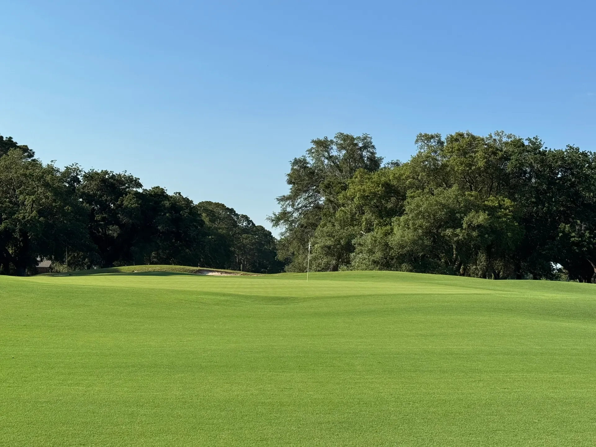 Wide fairway running up to a green with a flagstick, framed by live oaks under a clear blue sky