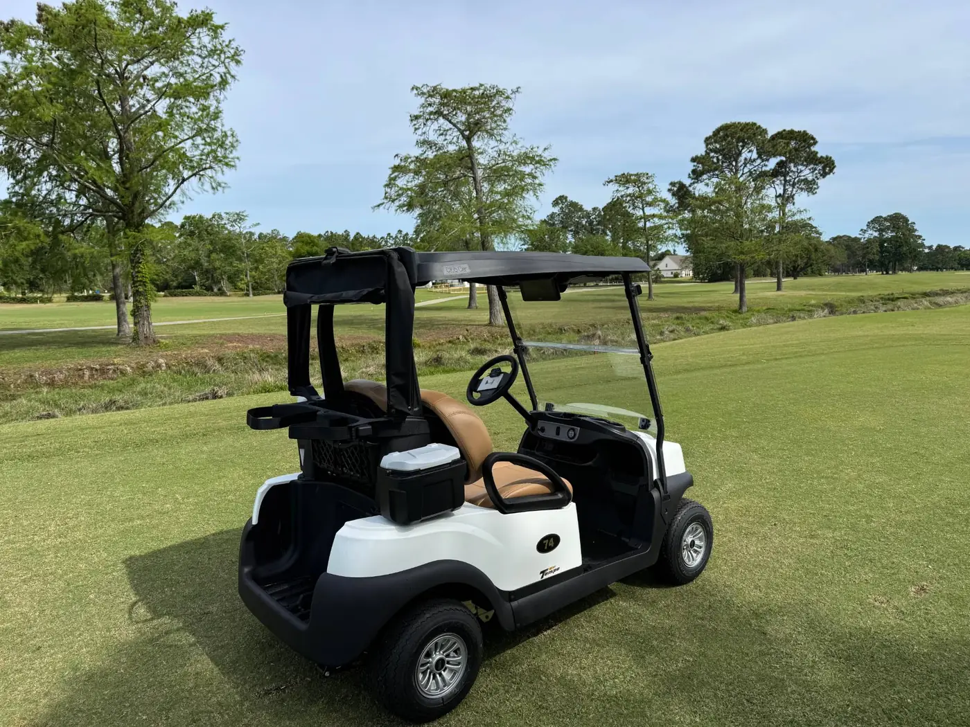 A white Club Car golf cart parked on the fairway, with a creek and tall pines behind