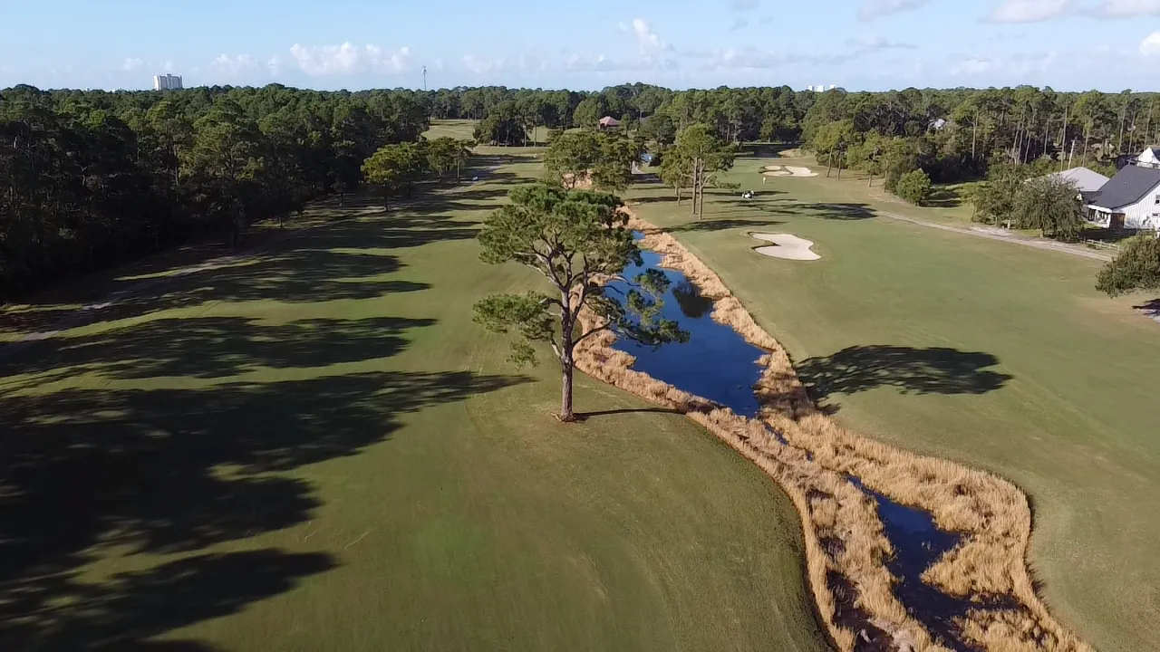 Aerial view of a lone pine beside a reed-lined creek crossing the fairway at Gulf Shores Golf Club