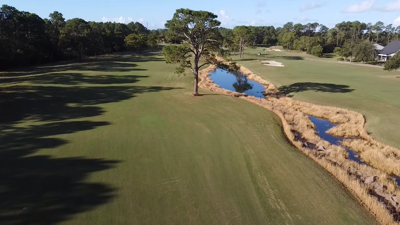 A tall pine standing over a reed-lined creek beside a wide fairway at Gulf Shores Golf Club