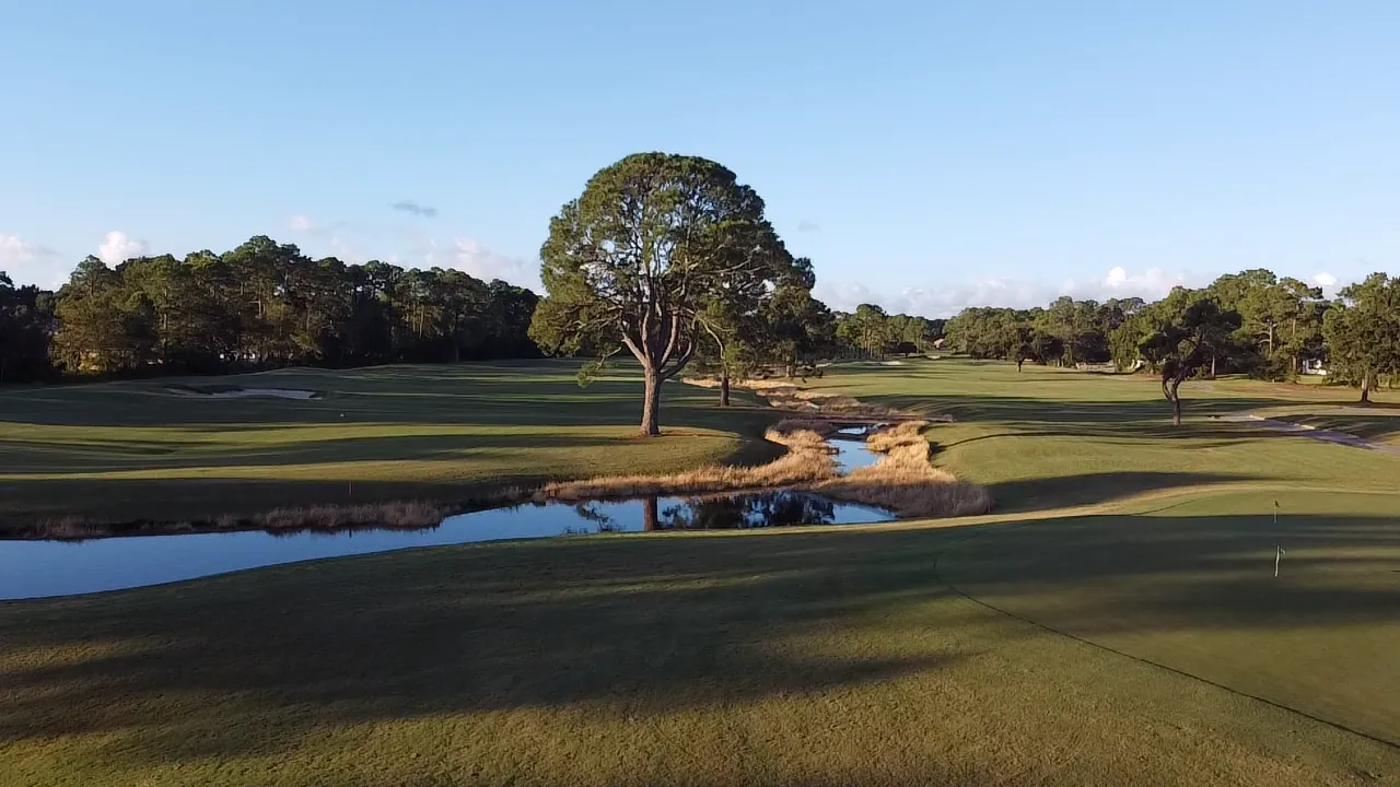 A lone live oak above a reed-lined pond on an open fairway at Gulf Shores Golf Club
